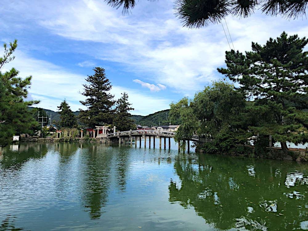 厳島神社の池